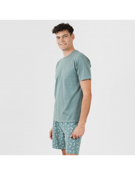 Pijama corto algodón hombre Flip verde