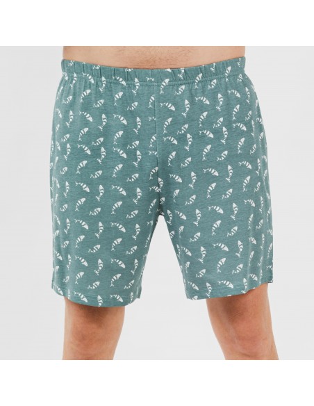 Pijama corto algodón hombre Flip verde