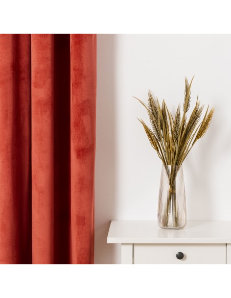 Cortina New terciopelo lisa