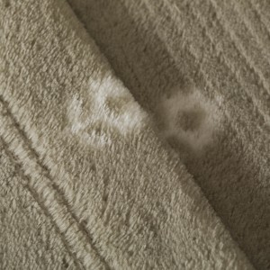 Juego de sábanas coralina Baby verde caceria 2