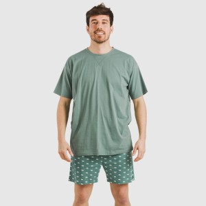 Pijama corto algodón hombre Dawin verde 2