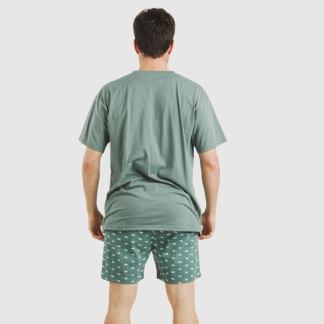 Pijama corto algodón hombre Dawin verde