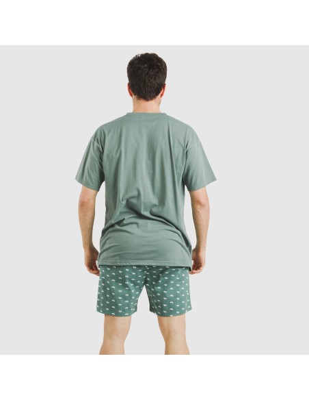 Pijama corto algodón hombre Dawin verde