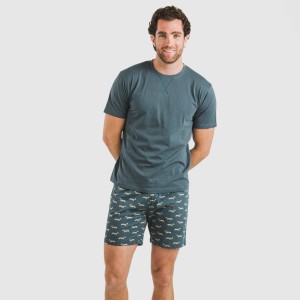 Pijama corto algodón hombre Alexandro verde azulado 2