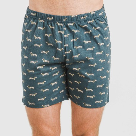 Pijama corto algodón hombre Alexandro verde azulado