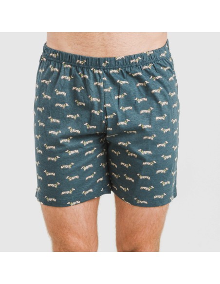 Pijama corto algodón hombre Alexandro verde azulado